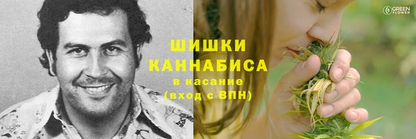 твердый Володарск