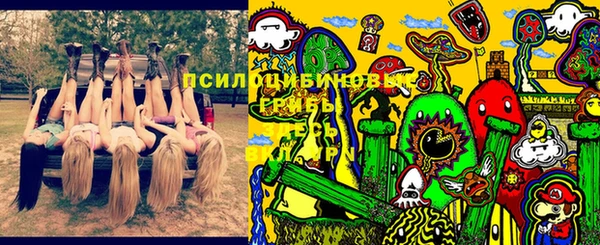 твердый Володарск