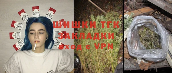 твердый Володарск