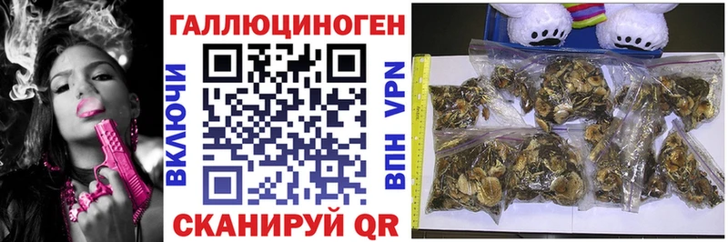 Галлюциногенные грибы Cubensis  Купить где  Валдай 